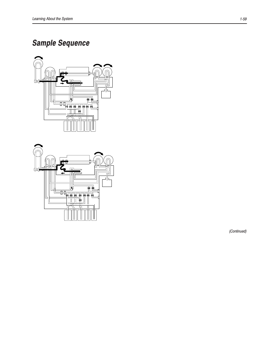 Sample sequence, 1ć59 learning about the system, Continued) | Bayer HealthCare Rapidlab 800 User Manual | Page 81 / 699