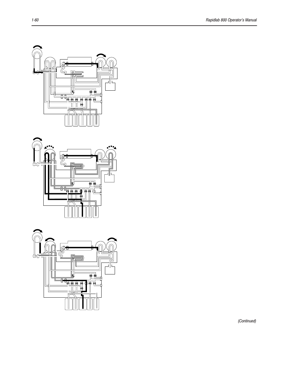 Continued) | Bayer HealthCare Rapidlab 800 User Manual | Page 82 / 699