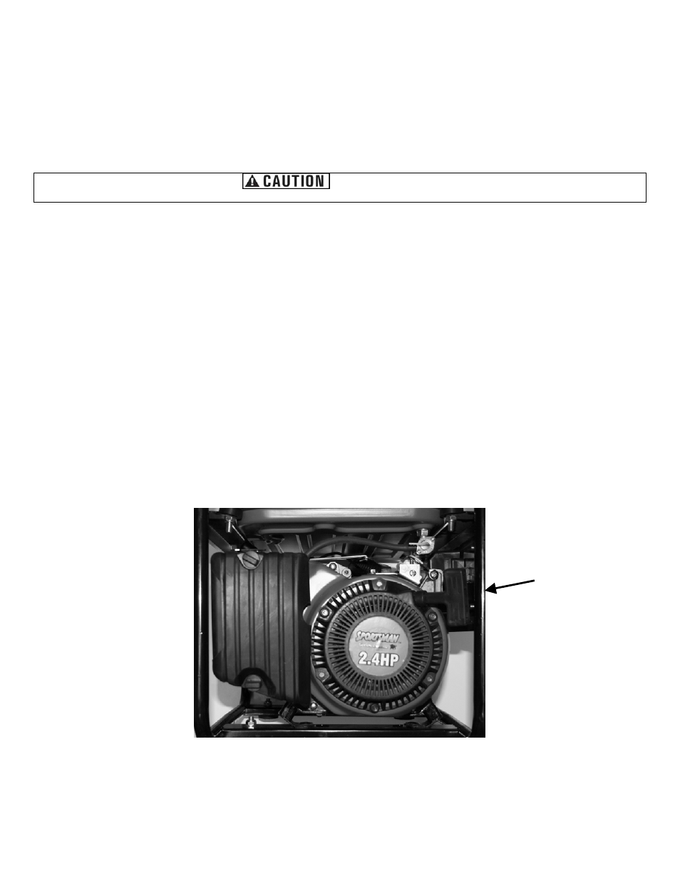 Stop, Starting the generator | Buffalo Tools PORTABLE GENERATOR GEN154 User Manual | Page 14 / 24