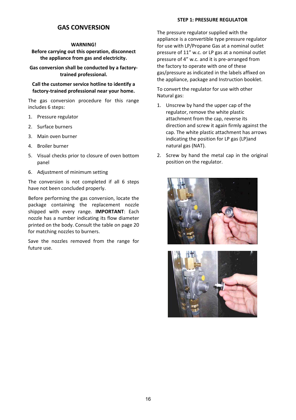 Gas conversion | Bertazzoni A304GGVXT/002 User Manual | Page 16 / 46