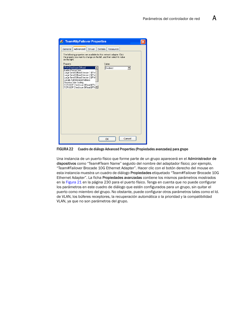 Dell Brocade Adapters User Manual | Page 263 / 294