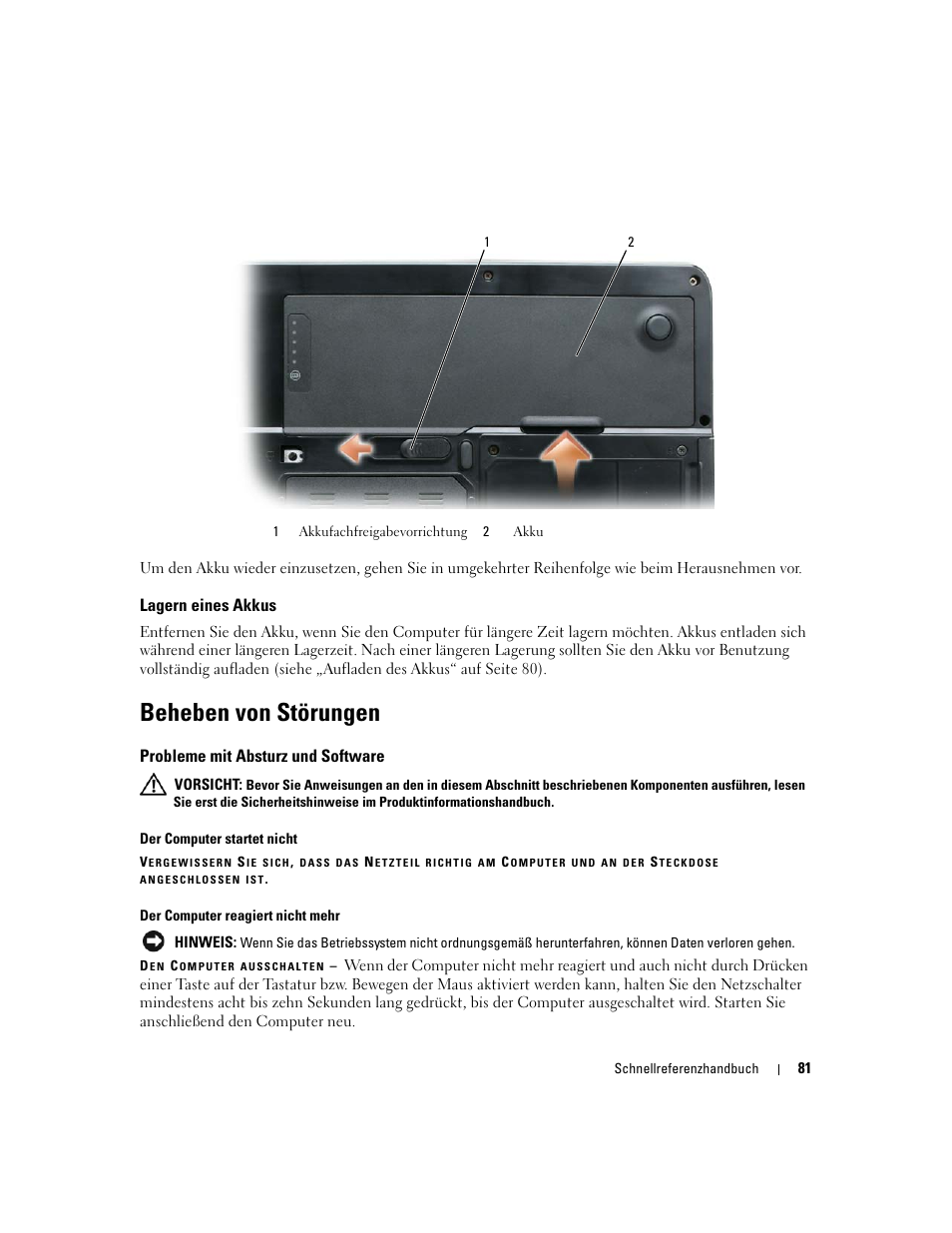 Lagern eines akkus, Beheben von störungen, Probleme mit absturz und software | Dell Latitude 131L User Manual | Page 81 / 132