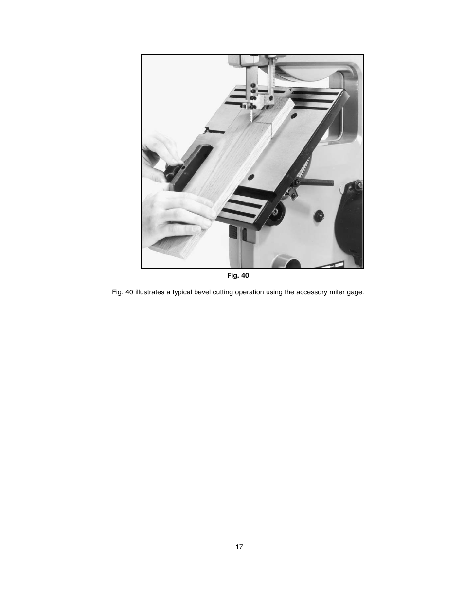 Black & Decker BDBS100 User Manual | Page 17 / 46