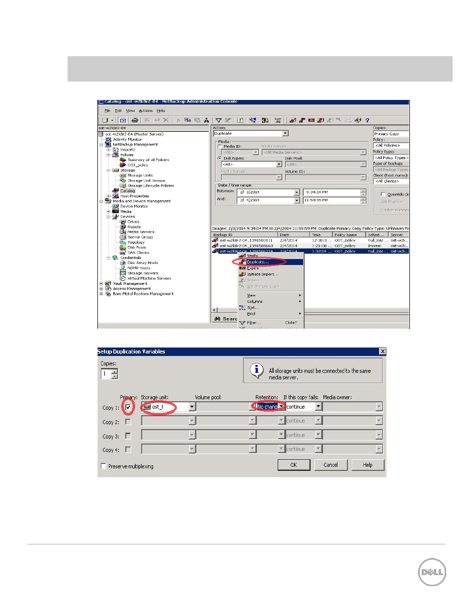 Dell PowerVault DR2000v User Manual | Page 33 / 38