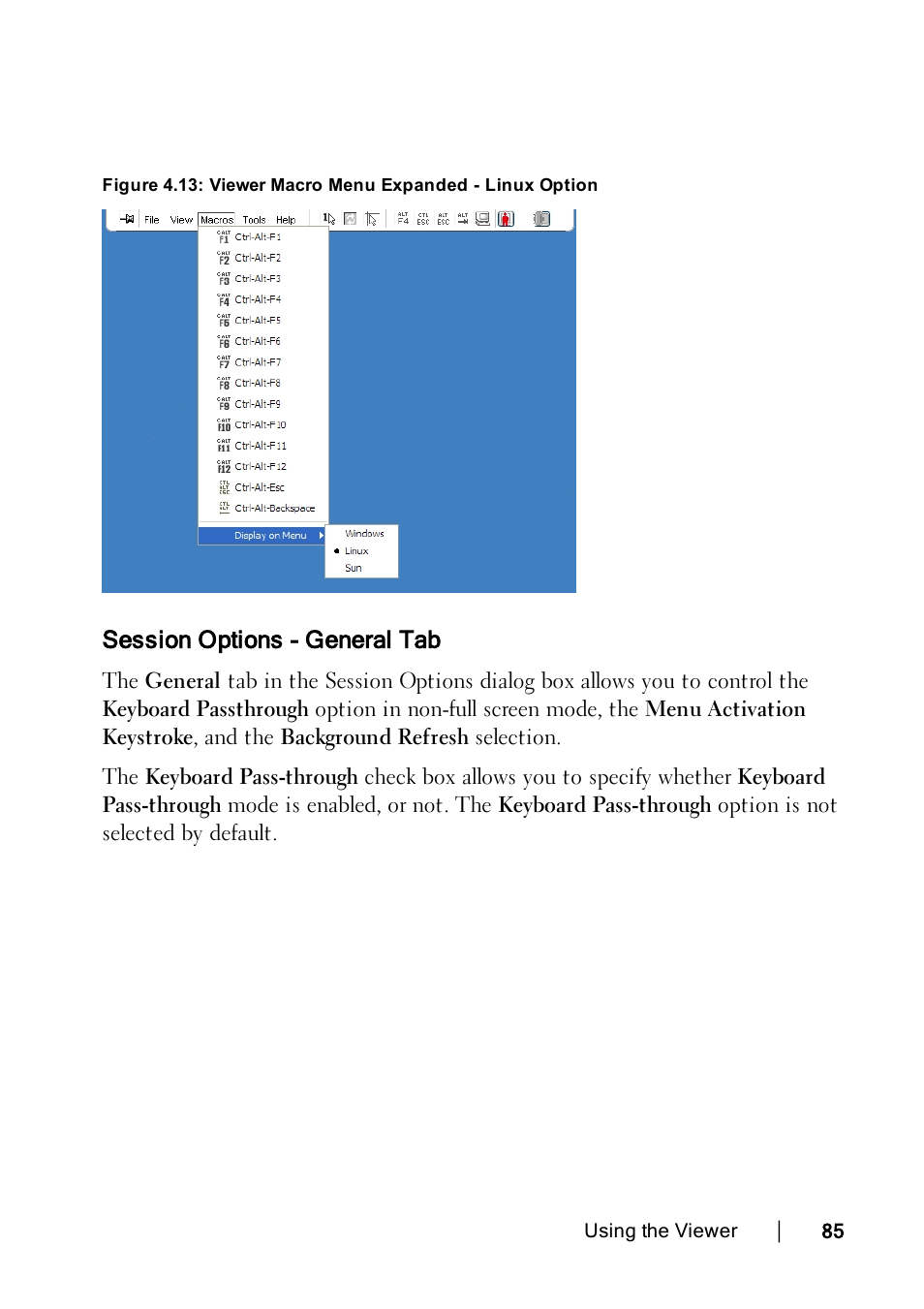 Session options - general tab, Viewermacrolinux | Dell KVM 2162DS User Manual | Page 85 / 114