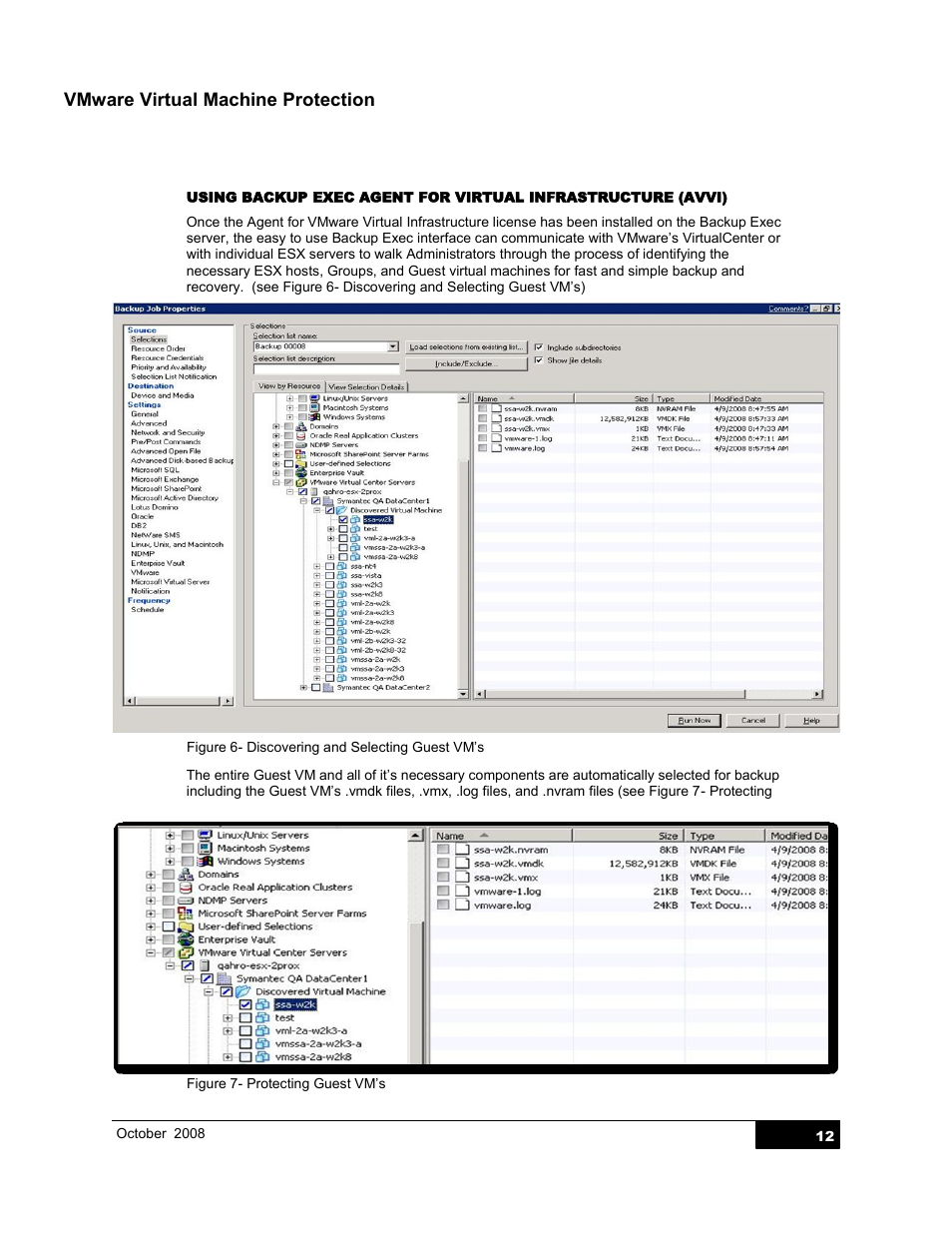 Vmware virtual machine protection | Dell PowerVault DL2000 User Manual | Page 12 / 21