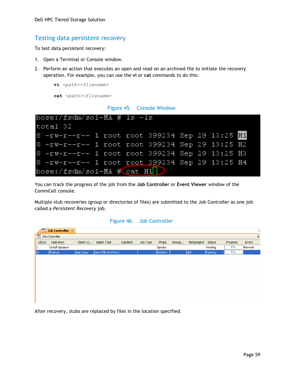 Testing data persistent recovery, Figure 45, Console window | Figure 46, Job controller | Dell POWEREDGE R710 User Manual | Page 61 / 63