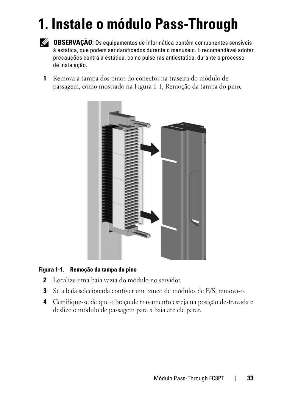 Instale o módulo pass-through | Dell POWEREDGE M1000E User Manual | Page 33 / 116