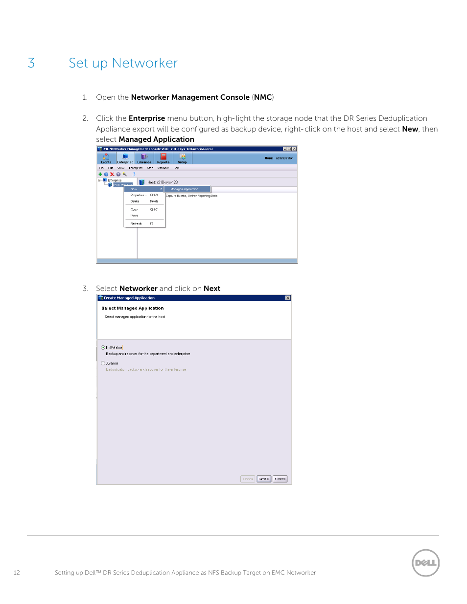 3 set up networker, Set up networker, 3set up networker | Dell PowerVault DR4100 User Manual | Page 12 / 33