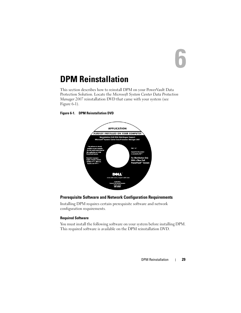 Dpm reinstallation | Dell PowerVault DP500 User Manual | Page 29 / 40