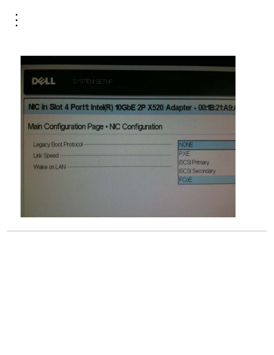 Intel® ethernet fcoe boot option rom setup | Dell Intel PRO Family of Adapters User Manual | Page 11 / 61