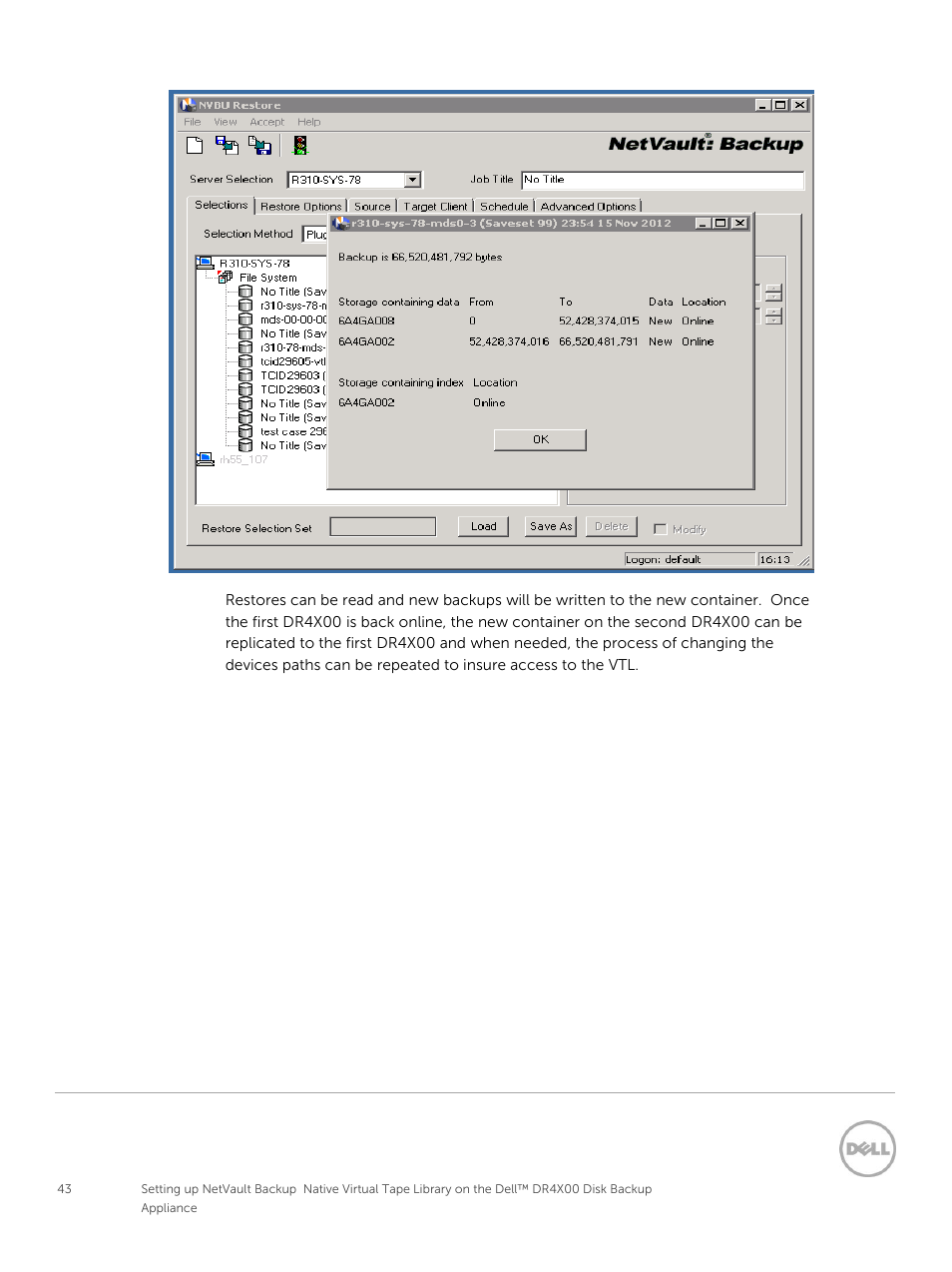 Dell PowerVault DR2000v User Manual | Page 43 / 63