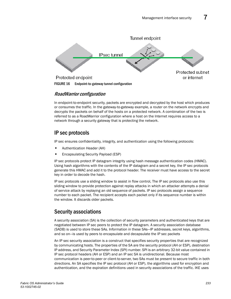 Roadwarrior configuration, Ip sec protocols, Security associations | Figure 16, Endpoint | Dell POWEREDGE M1000E User Manual | Page 233 / 666