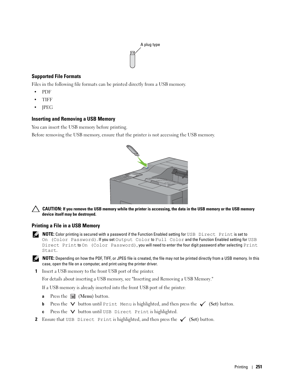 Supported file formats, Inserting and removing a usb memory, Printing a file in a usb memory | Dell C3760n Color Laser Printer User Manual | Page 253 / 412