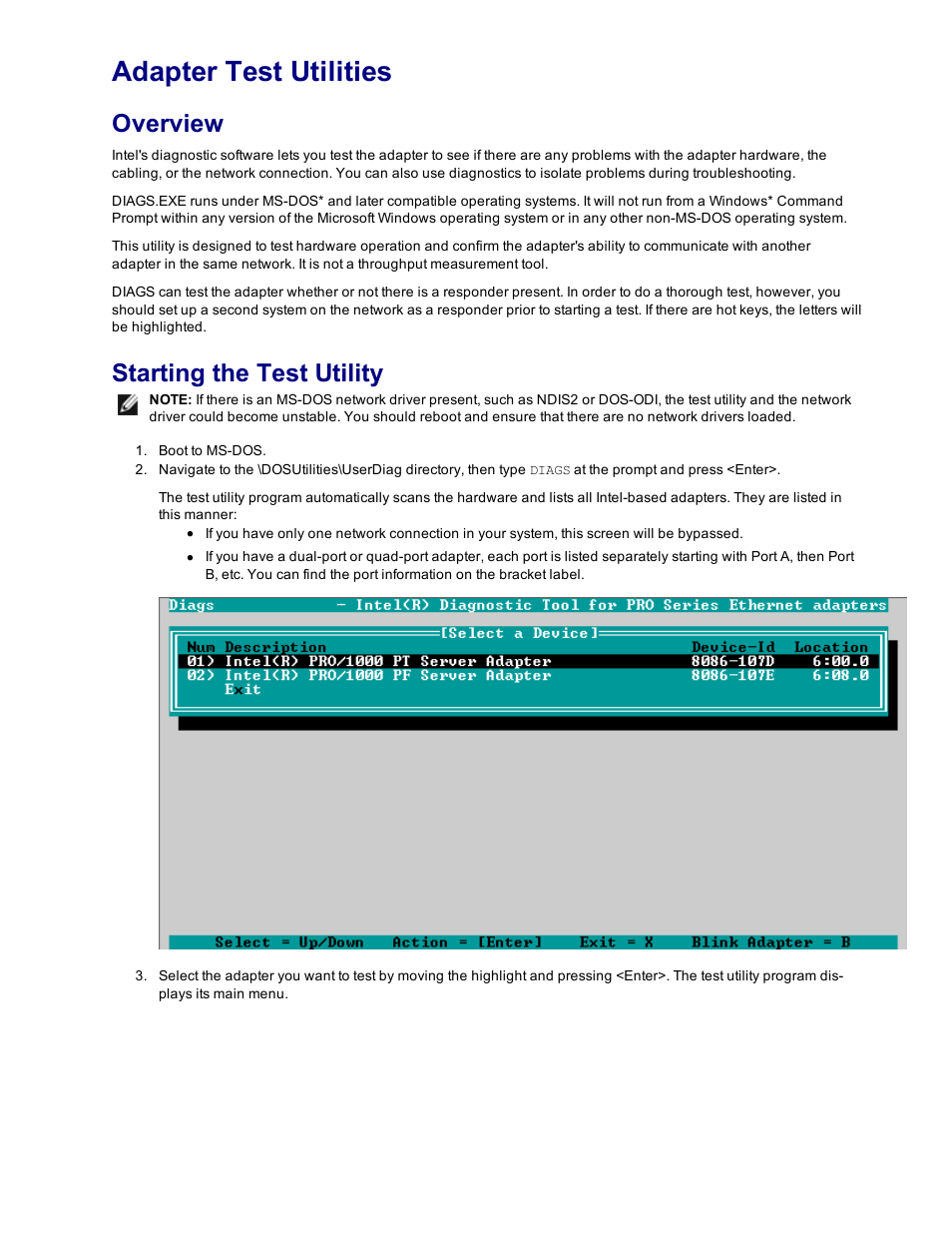 Adapter test utilities, Overview, Starting the test utility | Dell Intel PRO Family of Adapters User Manual | Page 131 / 153