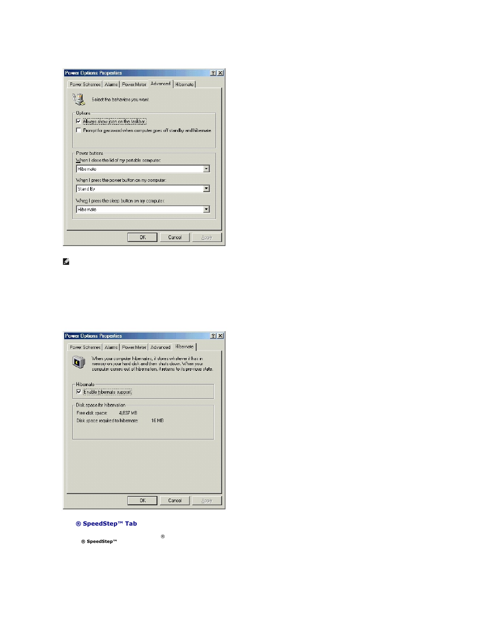 Dell Inspiron 4000 User Manual | Page 21 / 63
