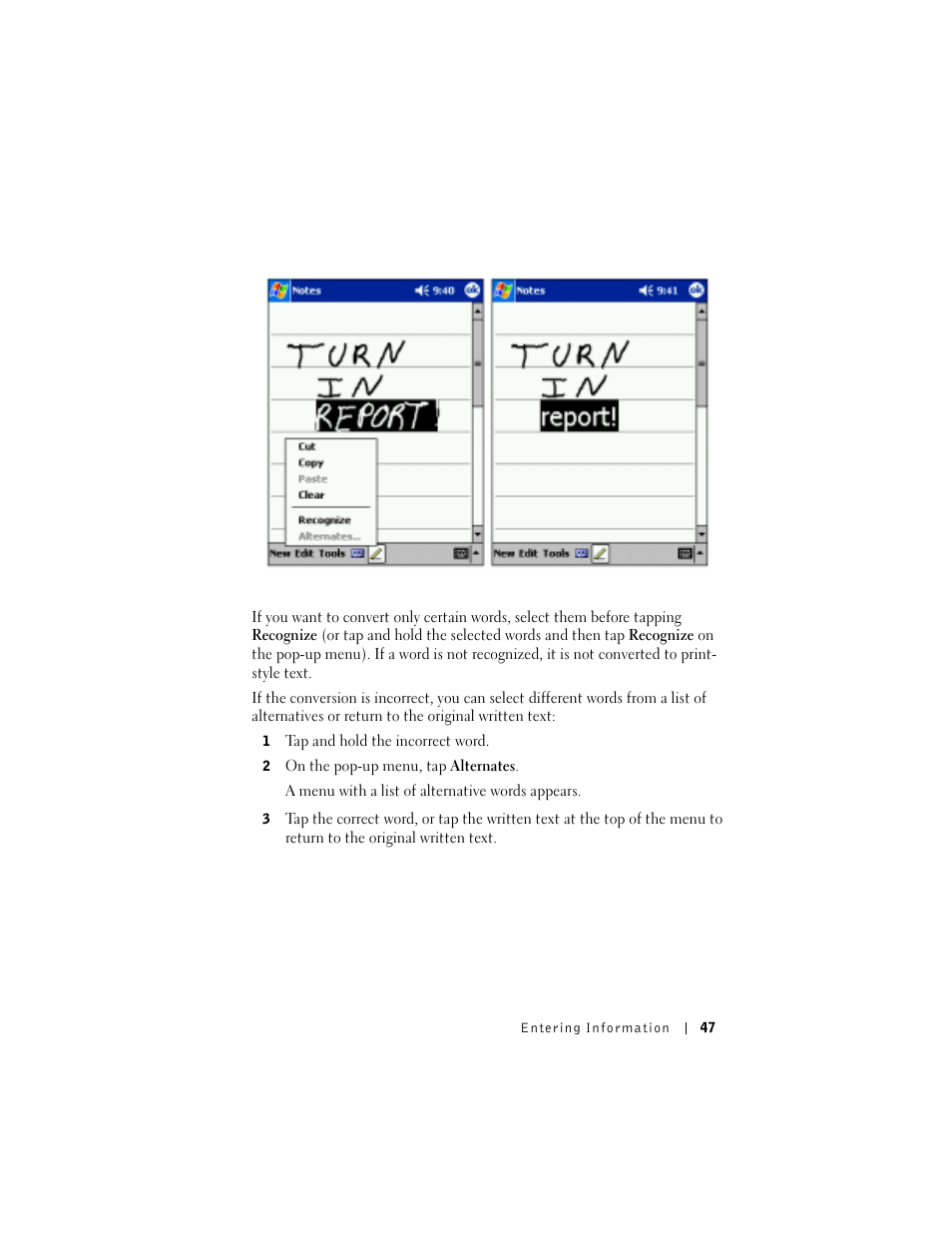 Dell AXIM X3 User Manual | Page 47 / 178