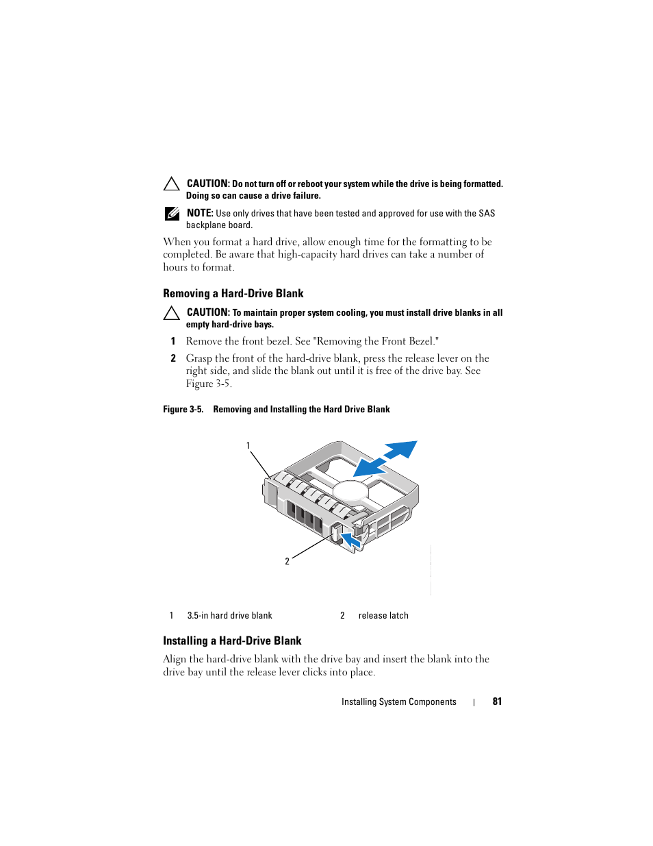 Removing a hard-drive blank, Installing a hard-drive blank | Dell PowerVault DL2100 User Manual | Page 81 / 200