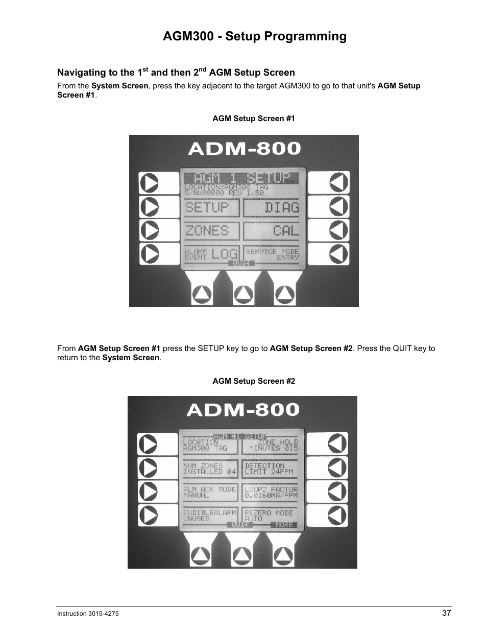 Agm300 - setup programming, Agm300, Etup | Rogramming | Bacharach AGM300 User Manual | Page 45 / 94