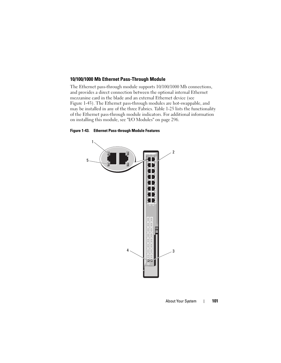 10/100/1000 mb ethernet pass-through module, 10/100/1000 mb ethernet, Pass-through module | Dell POWEREDGE M915 User Manual | Page 101 / 368