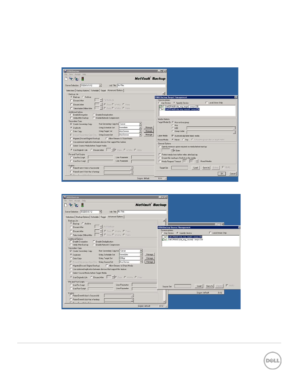 Dell DR4000 User Manual | Page 17 / 20