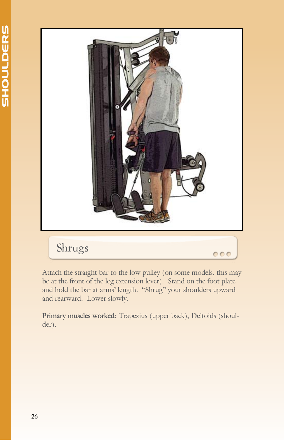 Shrugs | BodyCraft Strength Training System User Manual | Page 28 / 65