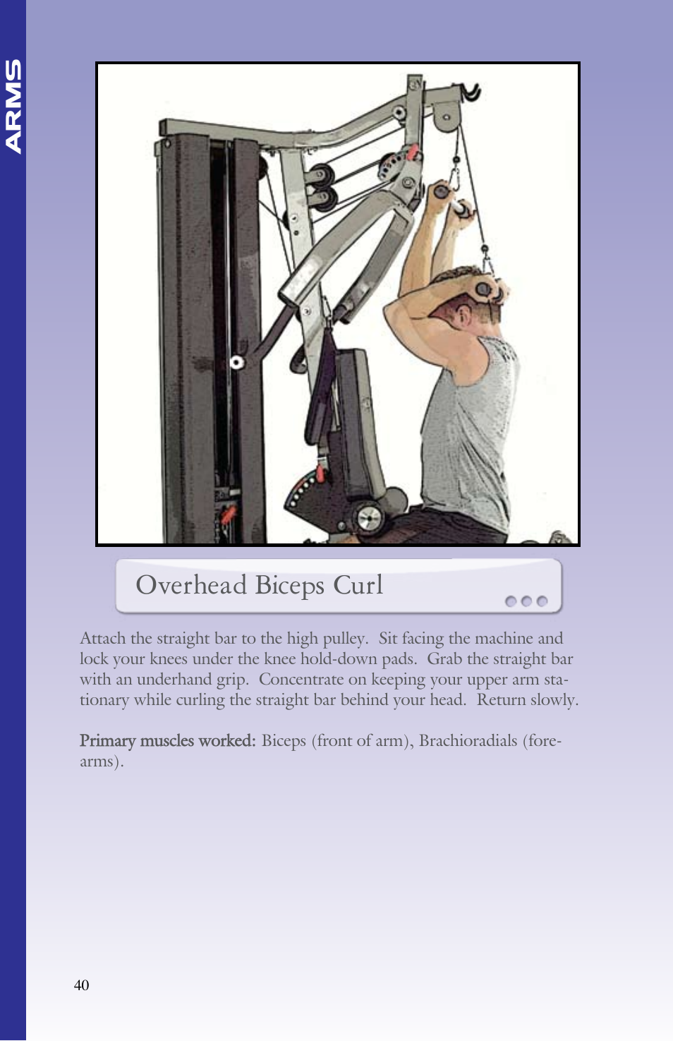 Overhead biceps curl | BodyCraft Strength Training System User Manual | Page 42 / 65