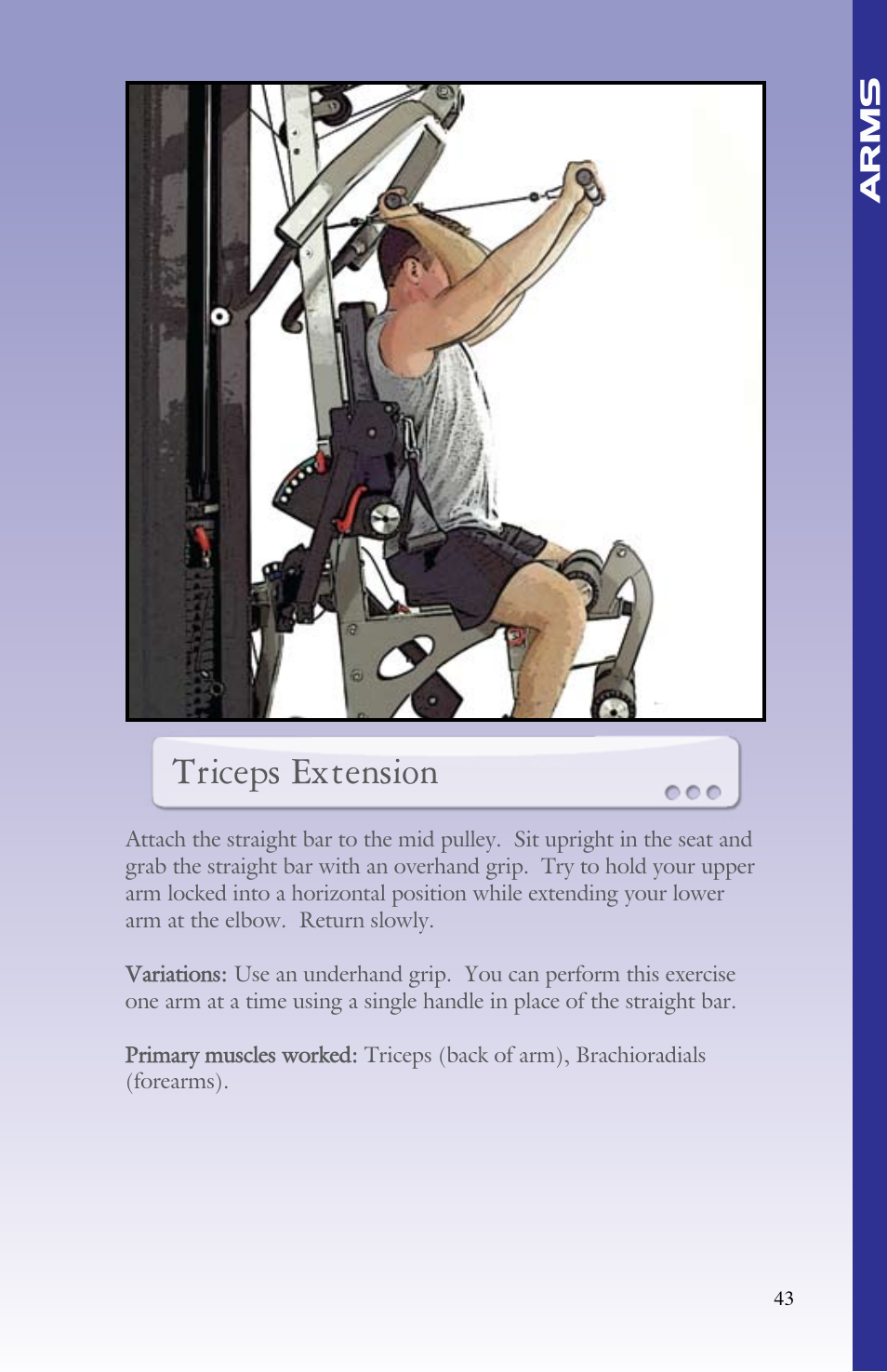 Triceps extension | BodyCraft Strength Training System User Manual | Page 45 / 65