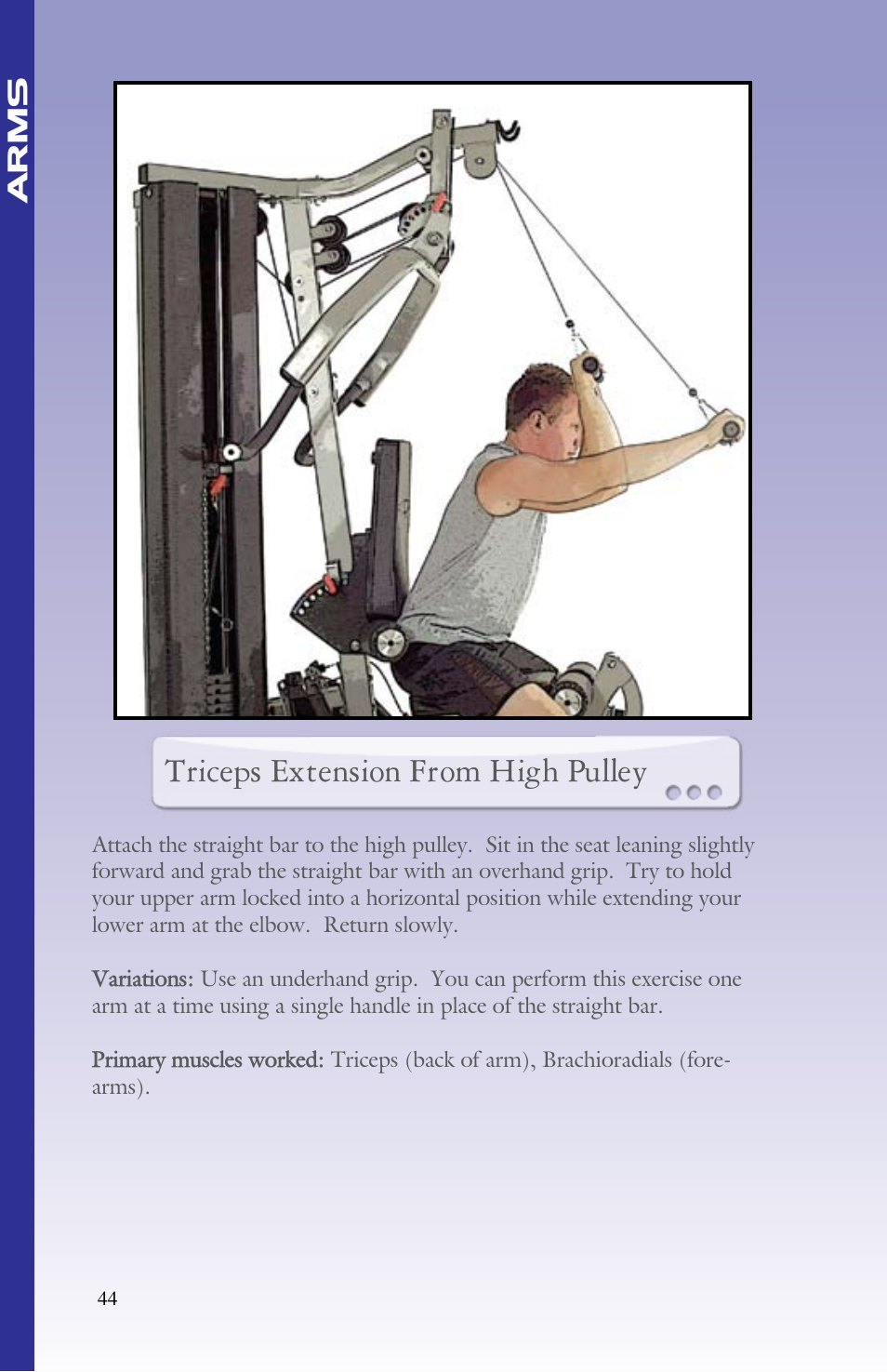 Triceps extension from high pulley | BodyCraft Strength Training System User Manual | Page 46 / 65
