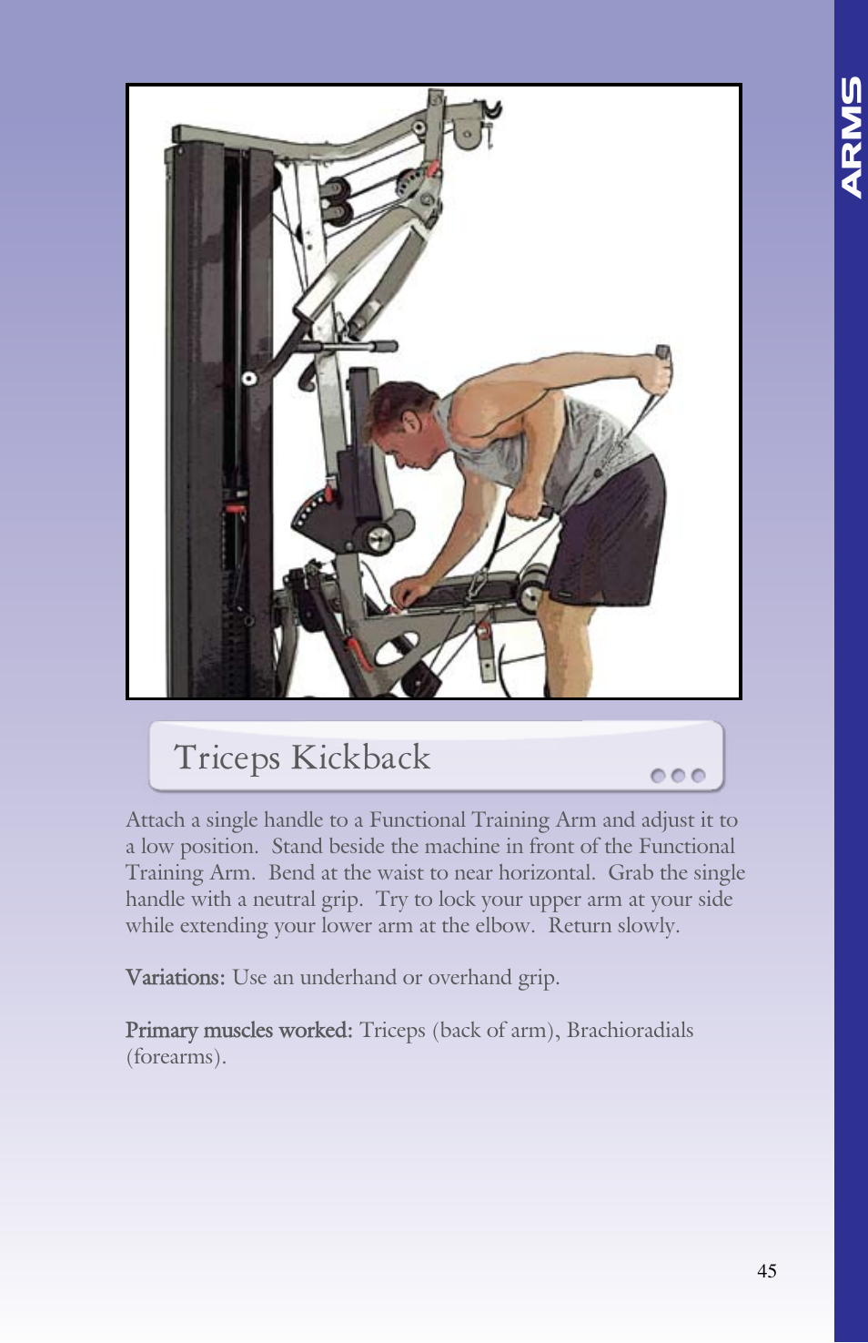 Triceps kickback | BodyCraft Strength Training System User Manual | Page 47 / 65