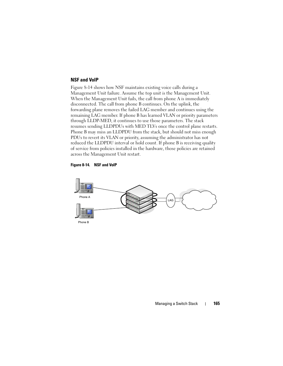 Nsf and voip | Dell POWEREDGE M1000E User Manual | Page 165 / 1246