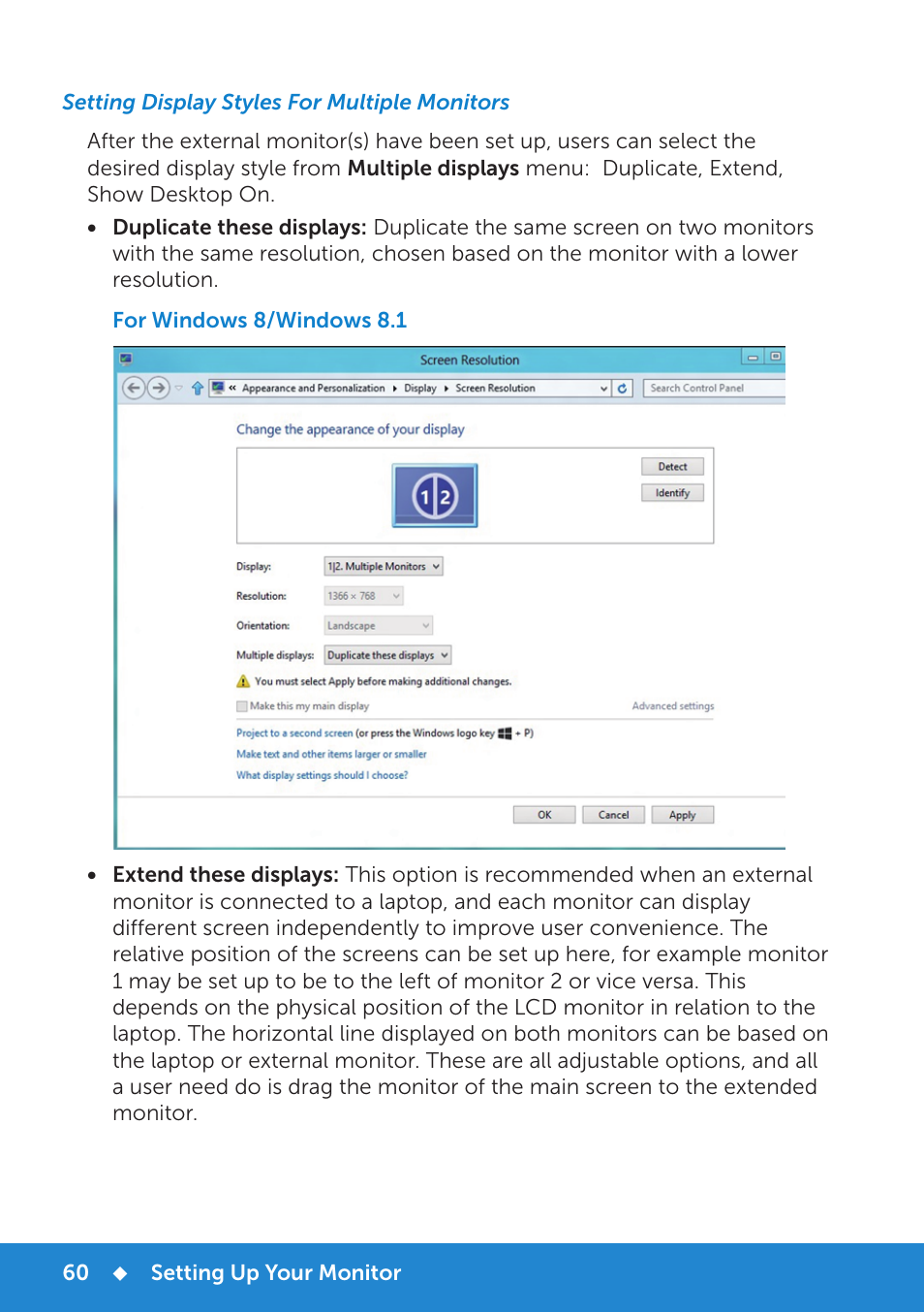 Setting display styles for multiple monitors | Dell E1715S Monitor User Manual | Page 60 / 64