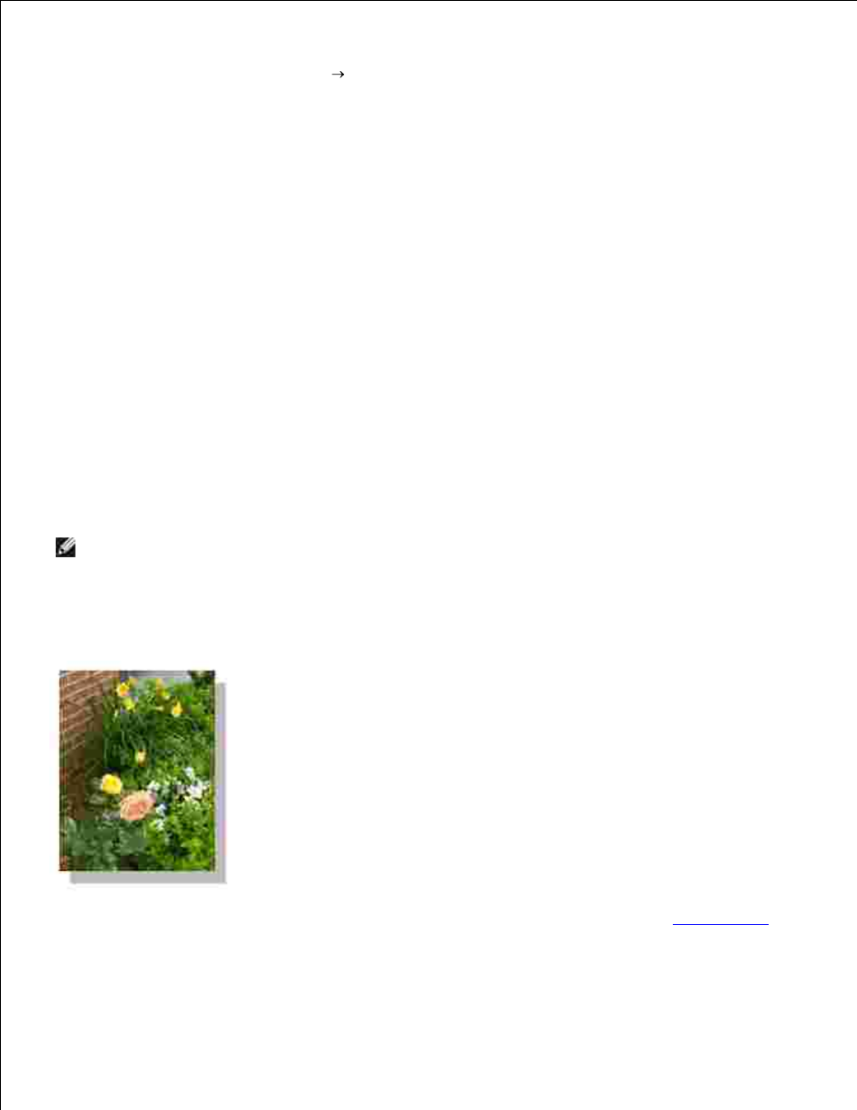 Printing borderless photos | Dell 942 All In One Inkjet Printer User Manual | Page 23 / 77