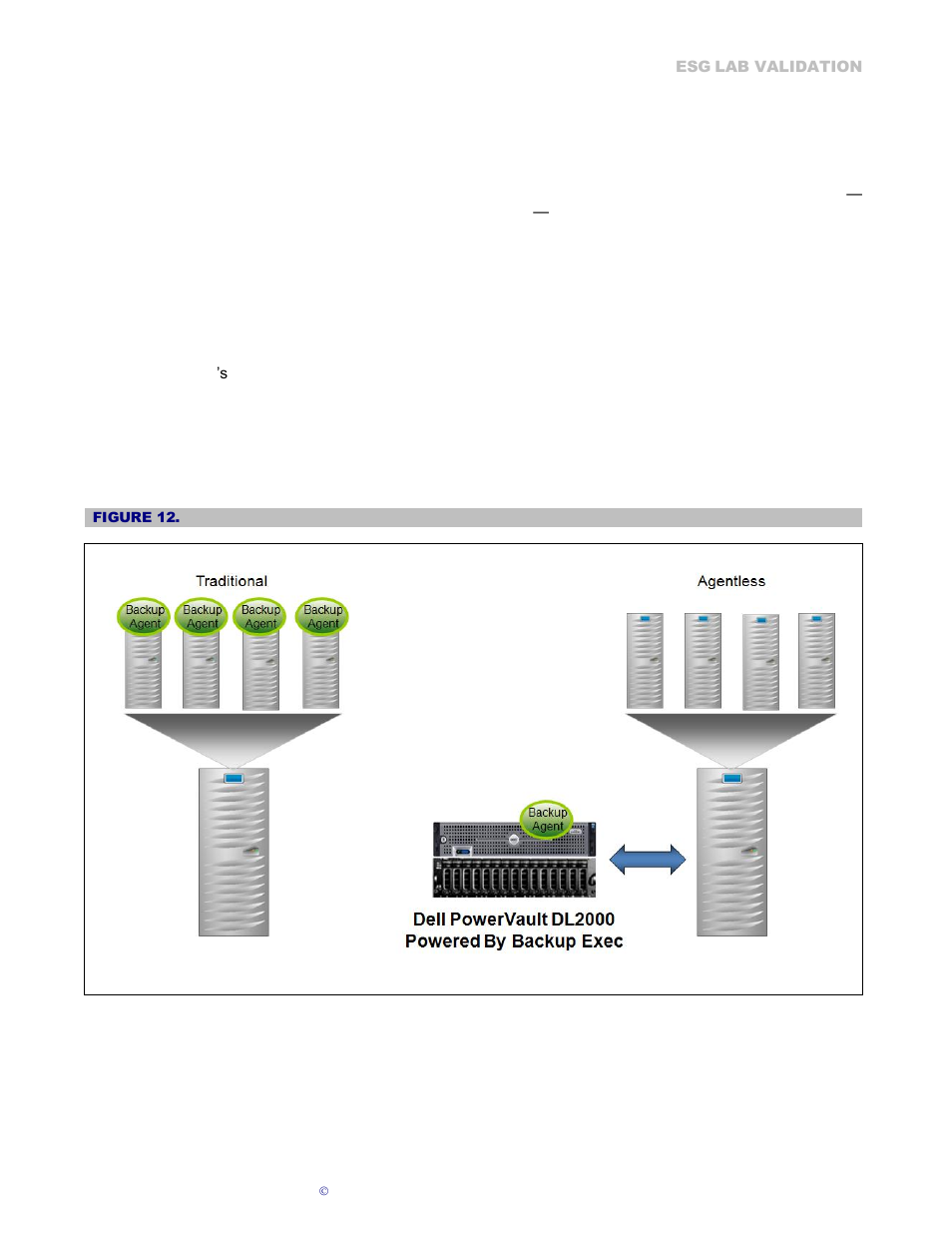 Protecting virtual servers | Dell PowerVault DL2100 User Manual | Page 14 / 23