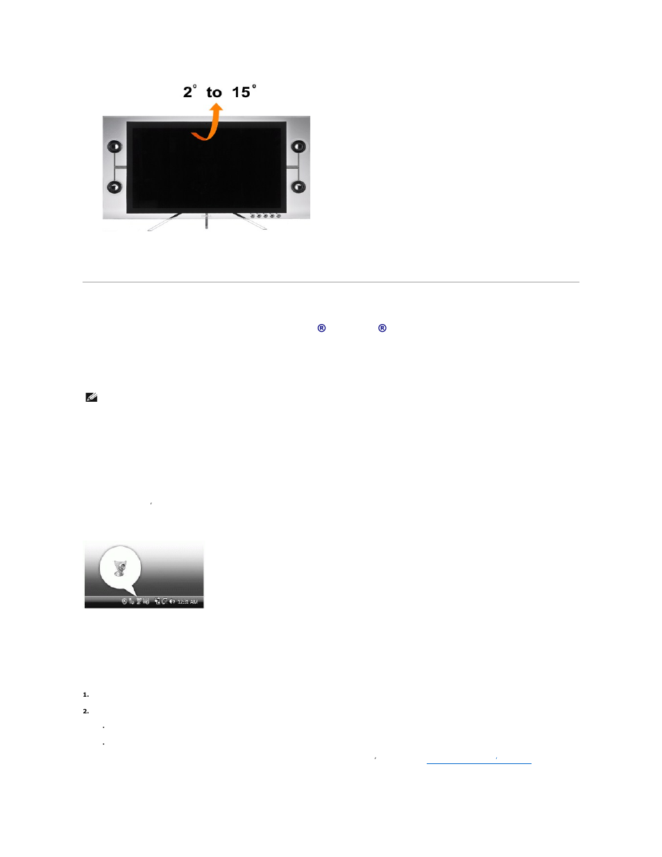 Using the camera, Accessing the camera help file, Manually adjusting the camera settings | Dell Crystal Monitor User Manual | Page 19 / 27