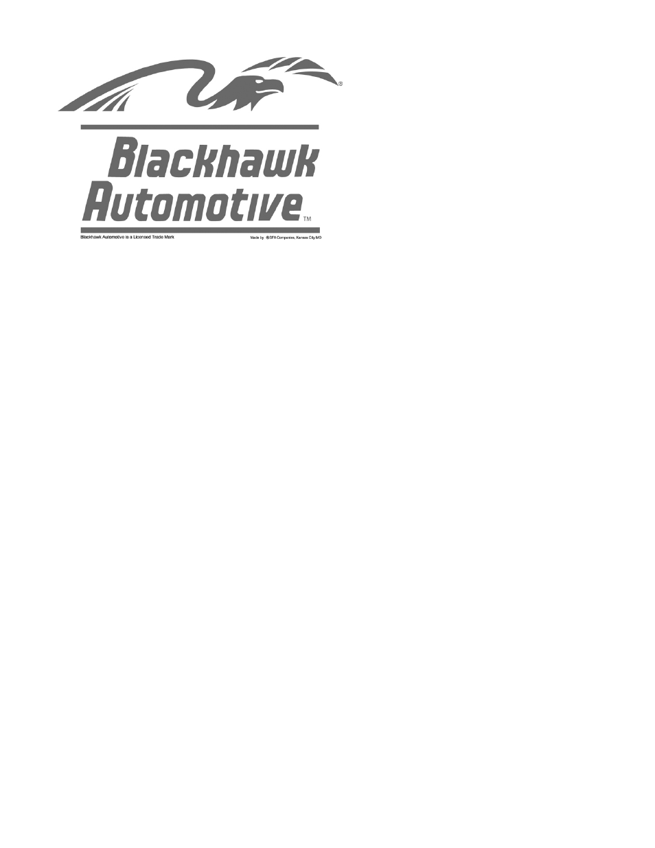 BLACKHAWK! AUTOMOTIVE BH6221 User Manual | 8 pages