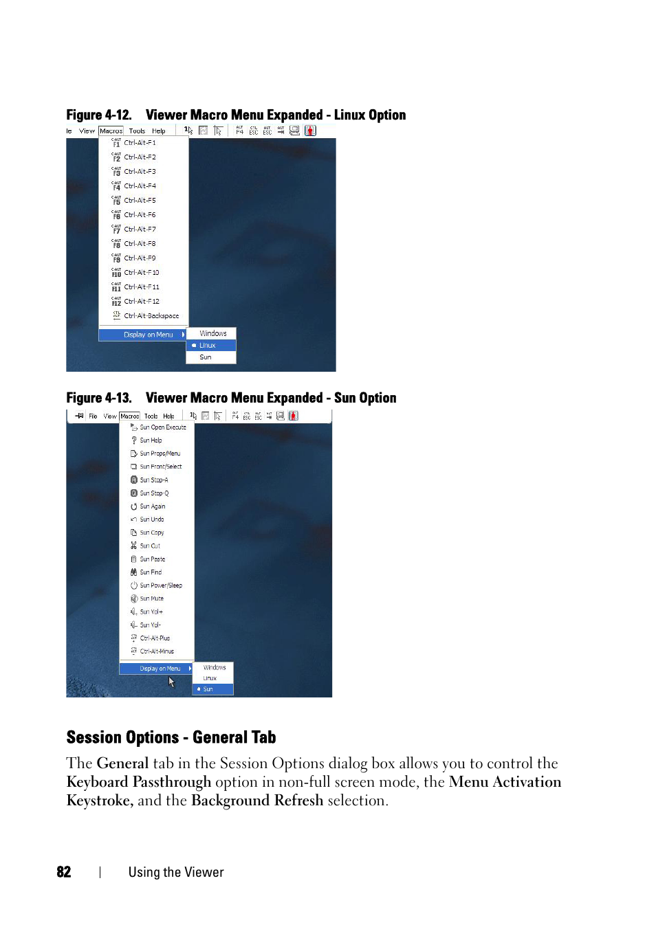 Session options - general tab | Dell KVM 4161DS User Manual | Page 98 / 244