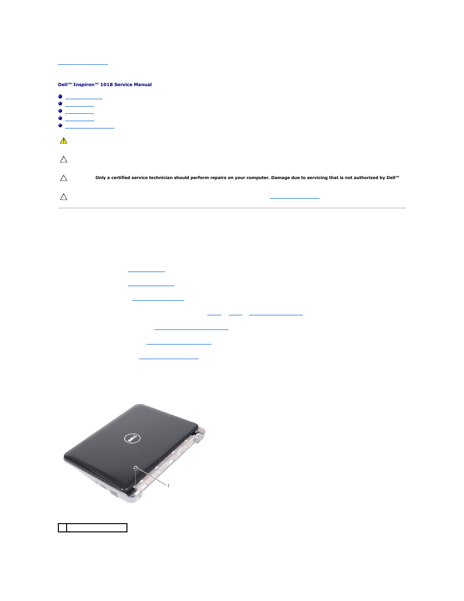 Display, Display assembly, Removing the display assembly | Dell Inspiron Mini 10v (1018, Mid 2010) User Manual | Page 11 / 46