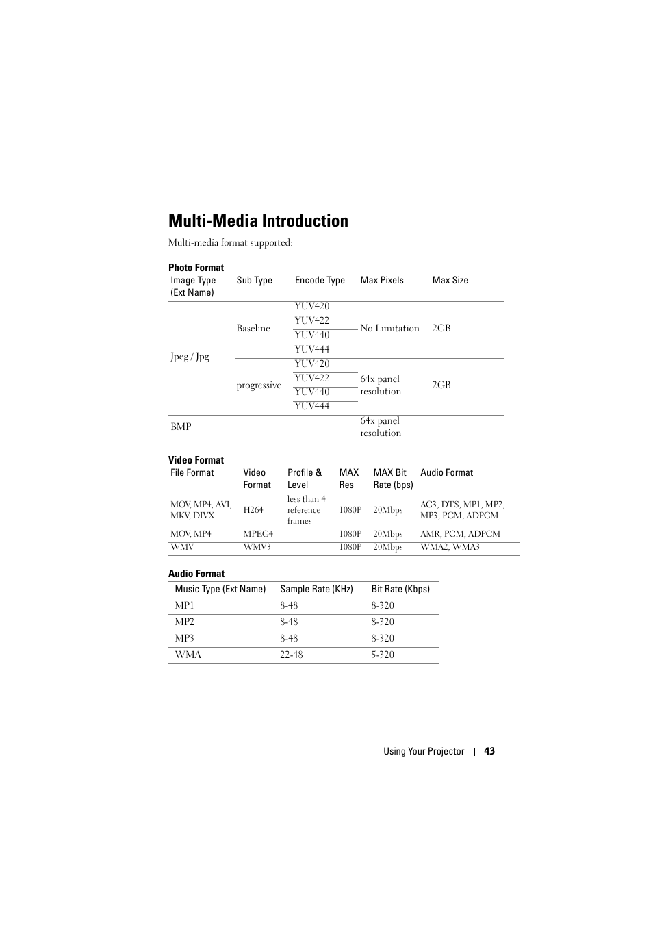 Multi-media introduction, Photo format, Video format | Audio format | Dell M110 Projector User Manual | Page 43 / 67