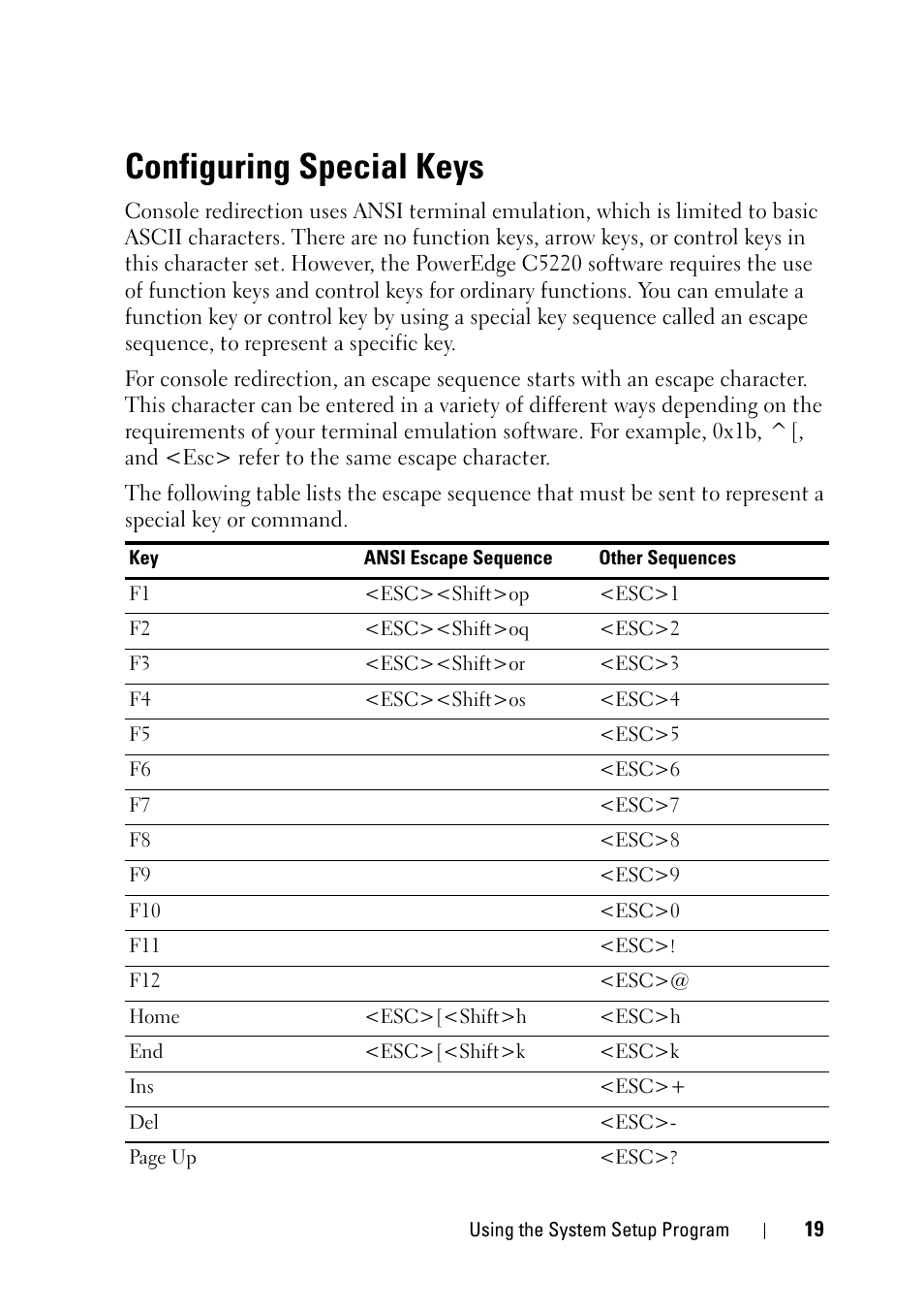 Configuring special keys | Dell PowerEdge C5220 User Manual | Page 19 / 124