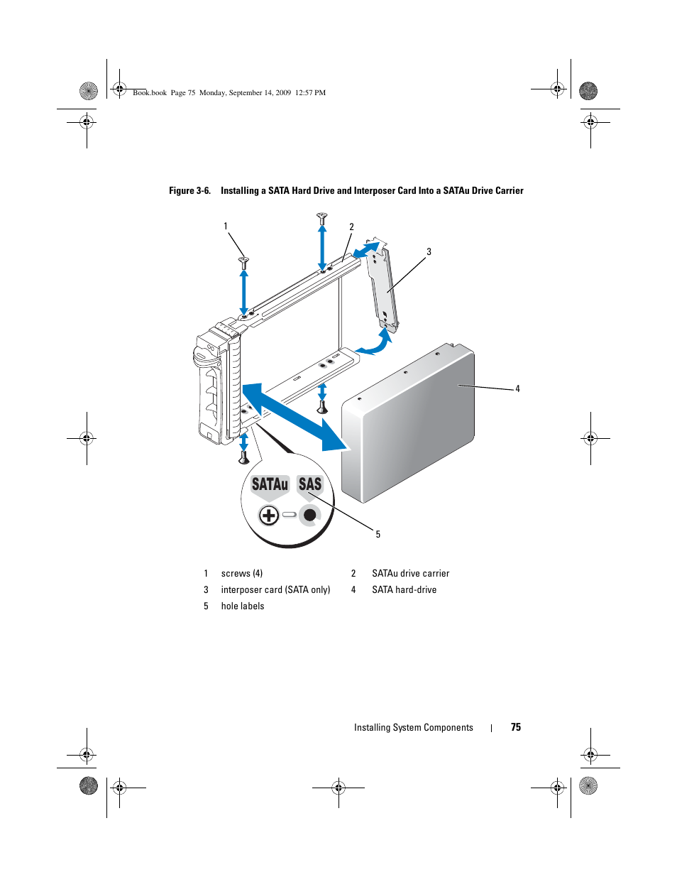 Satau sas | Dell PowerVault DL2000 User Manual | Page 75 / 188