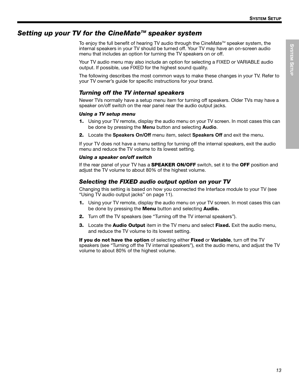 Setting up your tv for the cinemate, Speaker system | Bose Cinemate Digital Home Theater Speaker System User Manual | Page 13 / 24