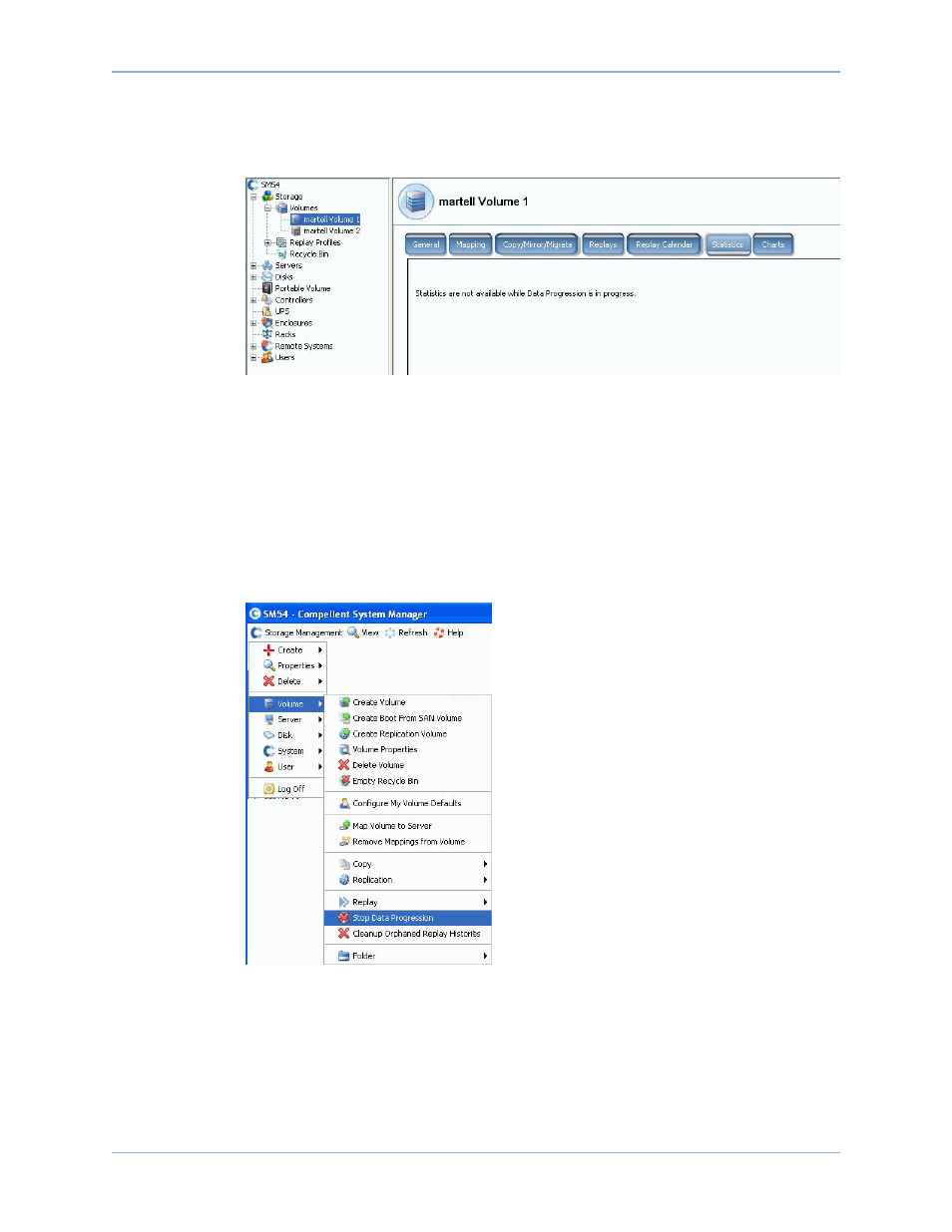 Determining if data progression is running, Stopping data progression | Dell Compellent Series 40 User Manual | Page 241 / 448