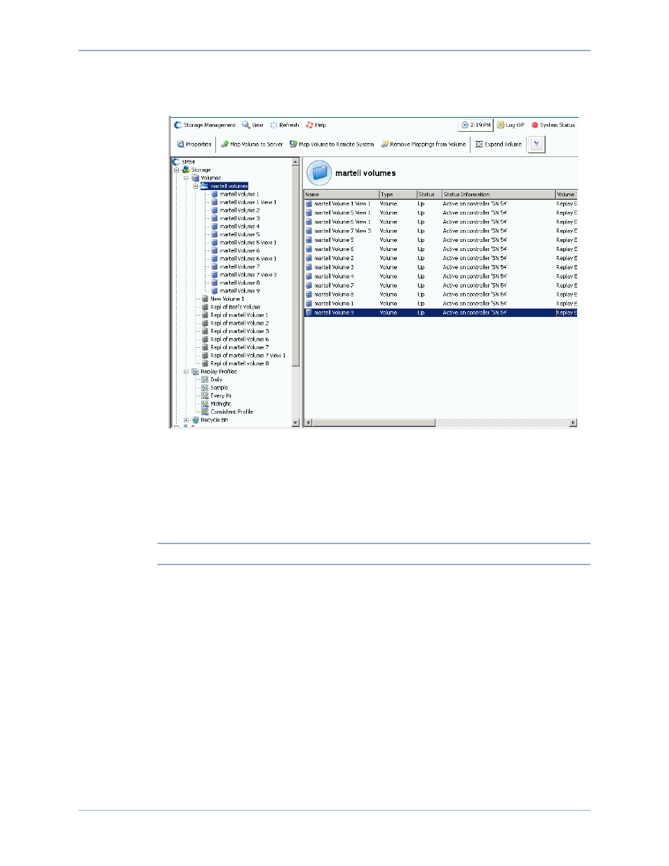 Deleting a view volume | Dell Compellent Series 40 User Manual | Page 333 / 448