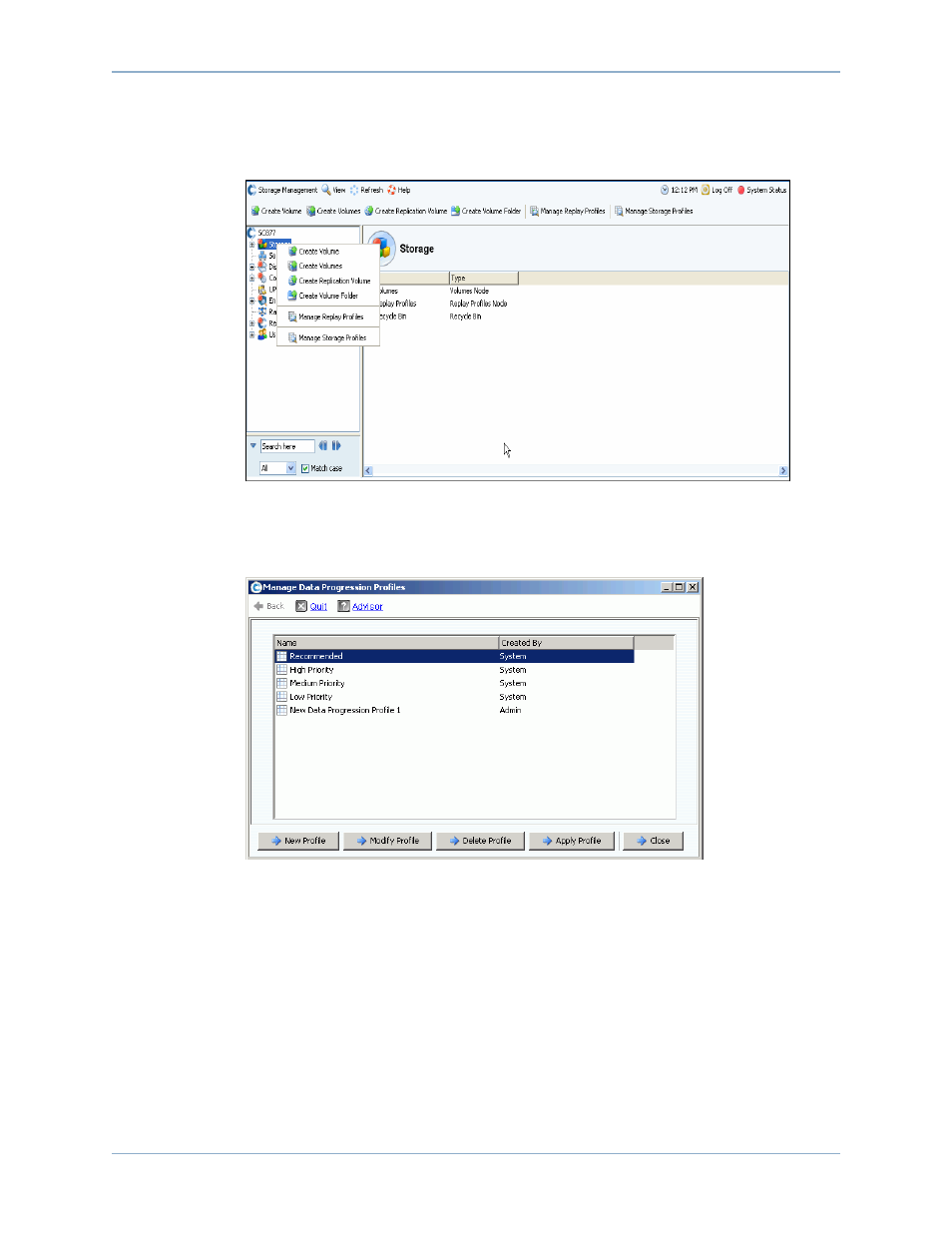 Managing storage profiles | Dell Compellent Series 40 User Manual | Page 396 / 448