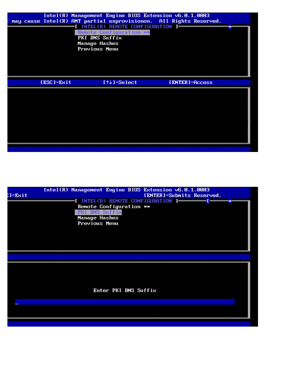 Pki dns suffix, Manage hashes | Dell OptiPlex 980 (Early 2010) User Manual | Page 41 / 101