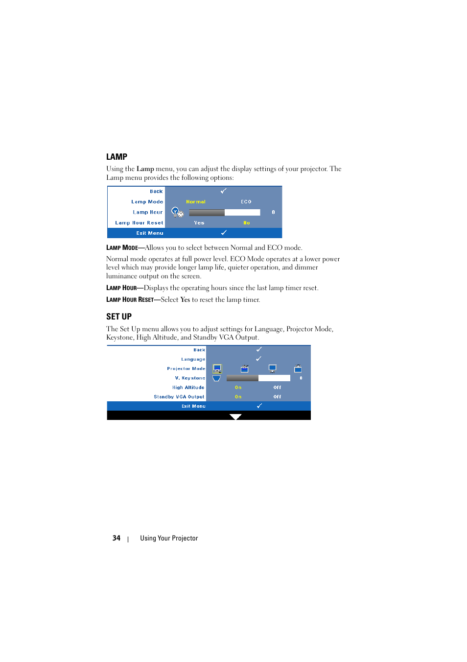 Lamp, Set up | Dell 1210S Projector User Manual | Page 34 / 59