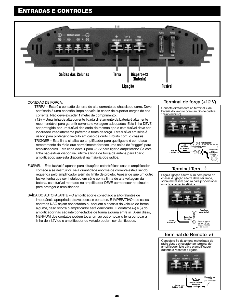 Ntradas e controles, Terminal de força (+12 v), Terminal terra terminal do remoto | Blaupunkt PCA 250 User Manual | Page 38 / 44