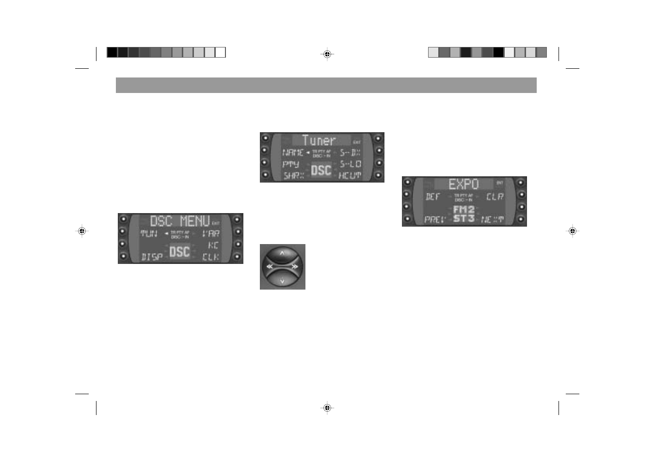 Dsc programming | Blaupunkt SAN FRANCISCO RDM 169 User Manual | Page 37 / 45