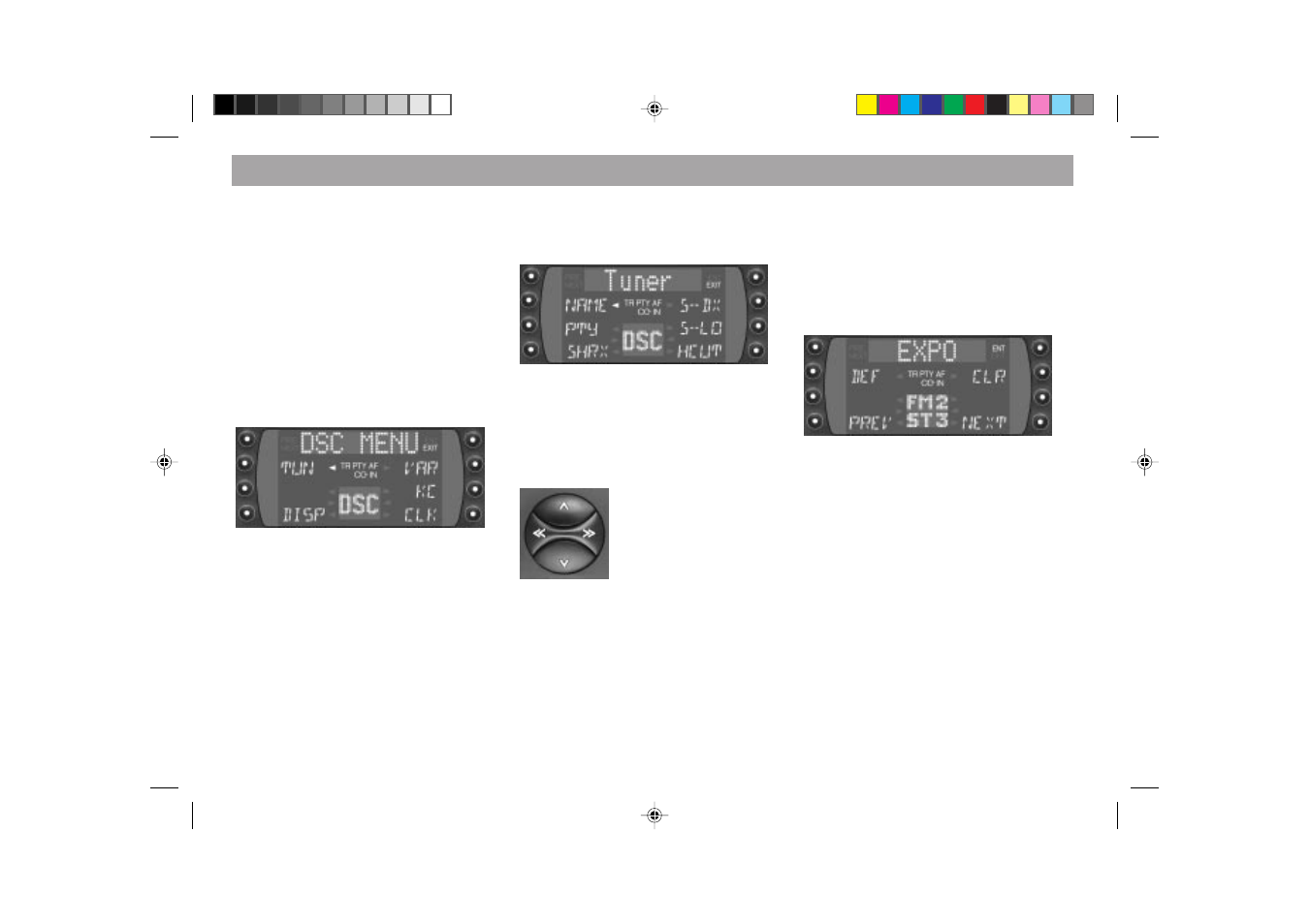 Dsc programming | Blaupunkt FRANKFURT RCM 169 User Manual | Page 43 / 52